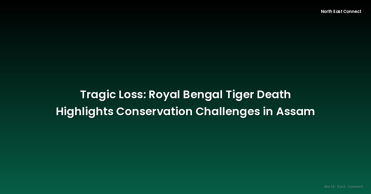 Tragic Loss: Royal Bengal Tiger Death Highlights Conservation Challenges in Assam