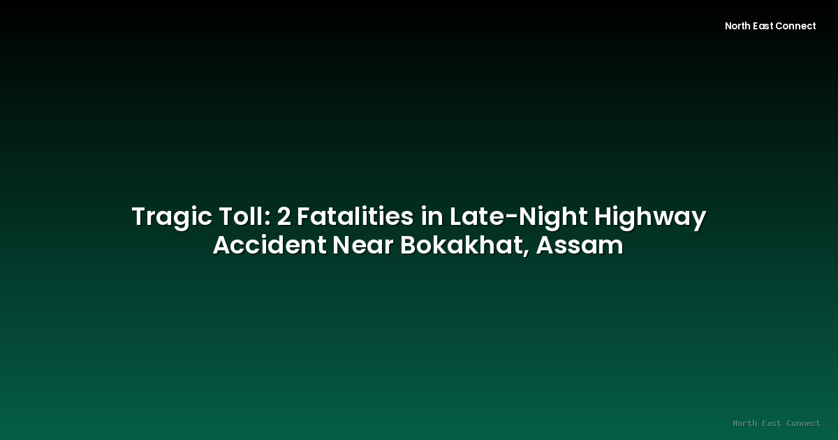 Tragic Toll: 2 Fatalities in Late-Night Highway Accident Near Bokakhat, Assam