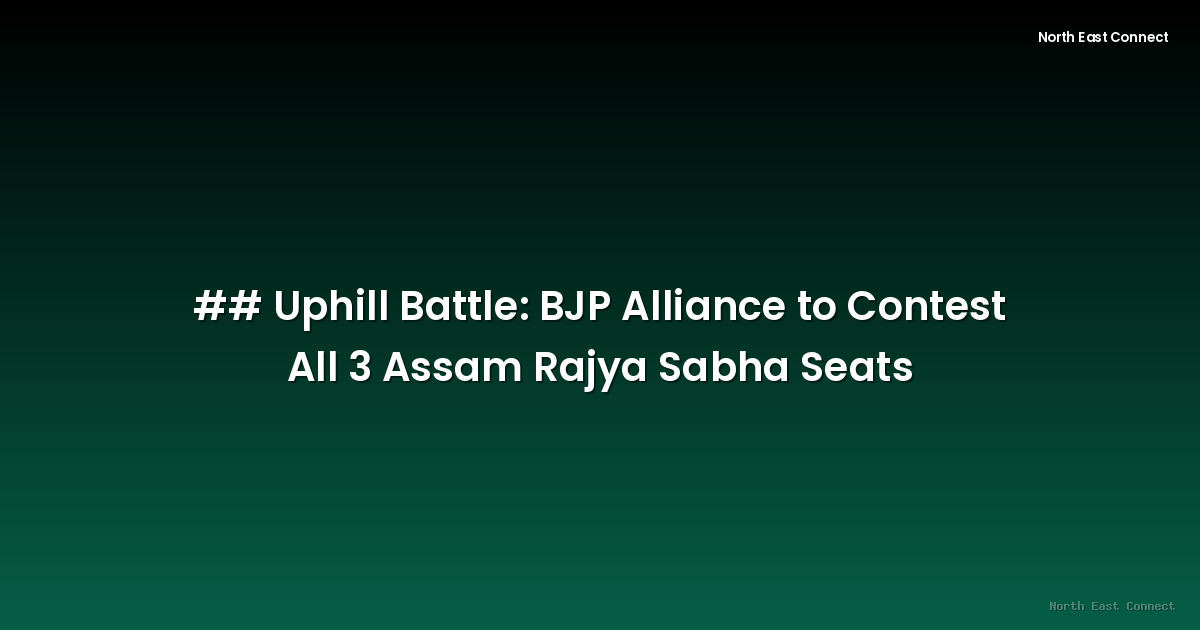 ## Uphill Battle: BJP Alliance to Contest All 3 Assam Rajya Sabha Seats